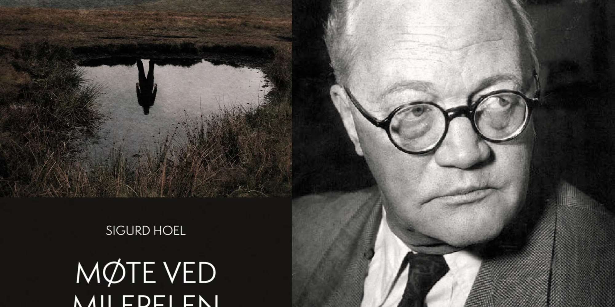 Svikefull litterær karakter: «Den plettfrie»