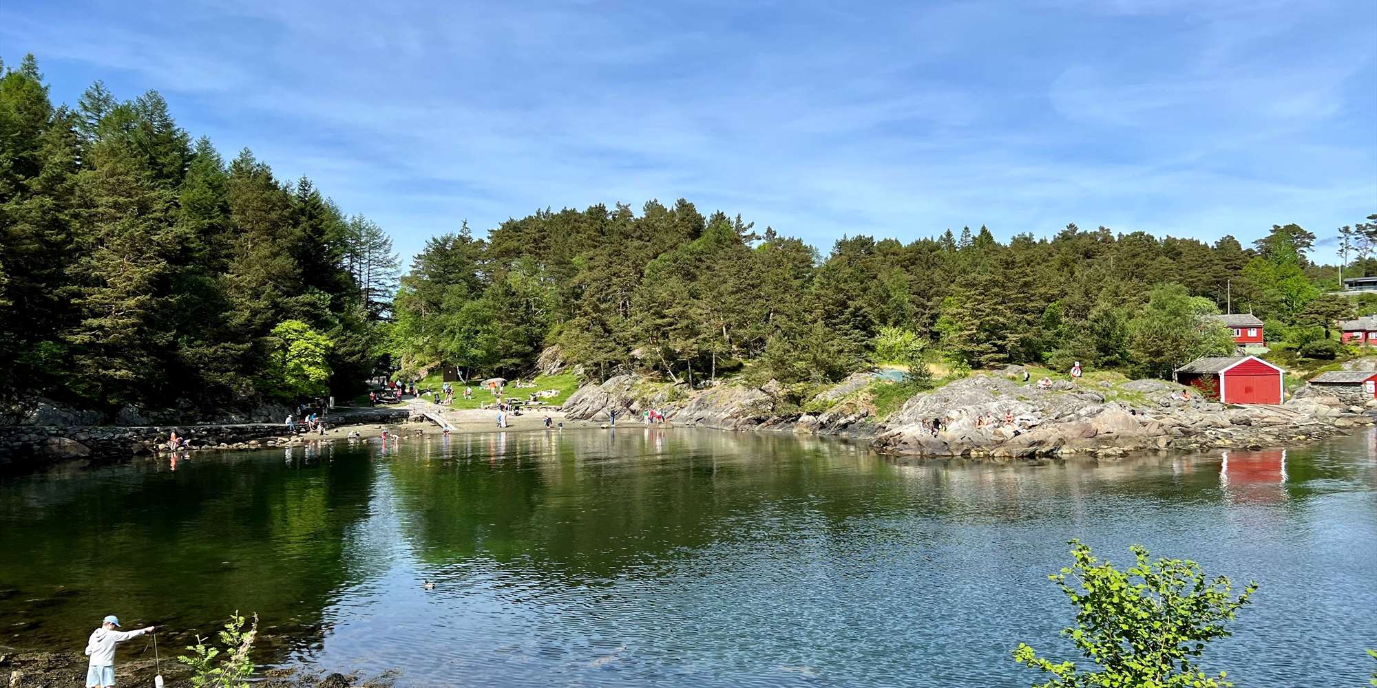 Grønevika Arboretet på Milde