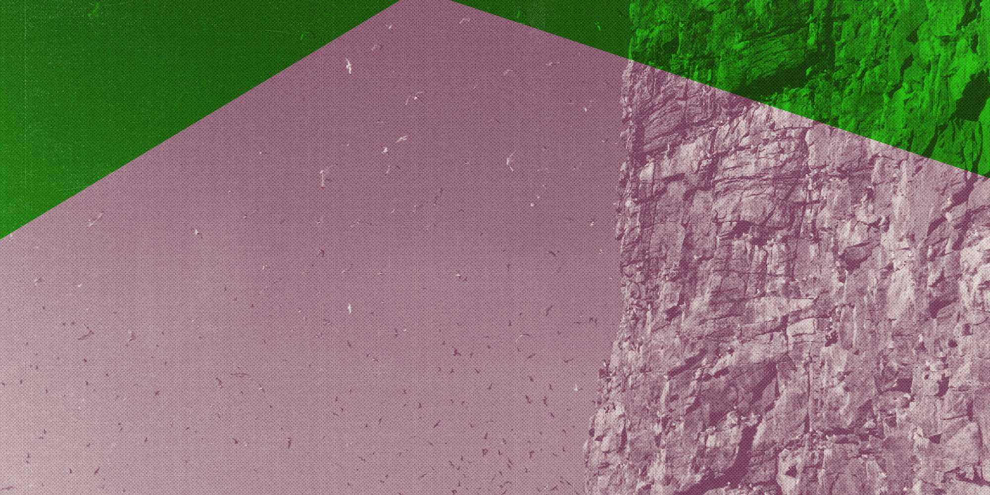 Vedøya – Klagesanger til fuglefjellet som mista stemmen