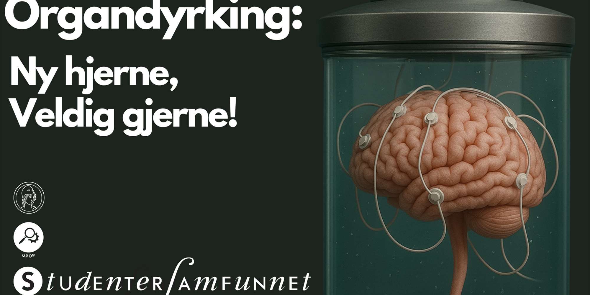 Organdyrking