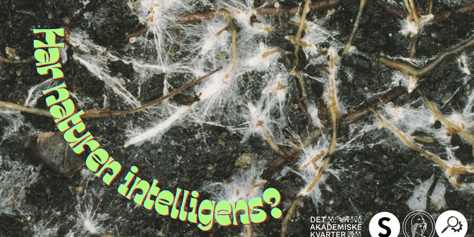 Har naturen intelligens?