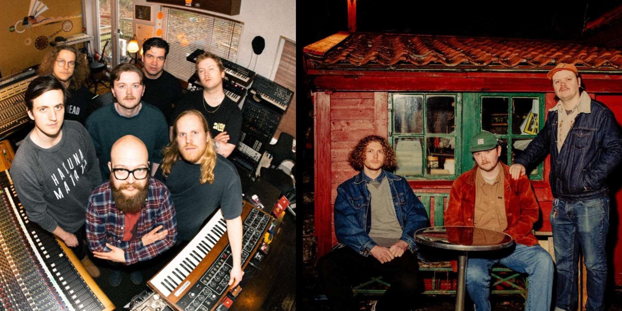 Datadyr // Treverket