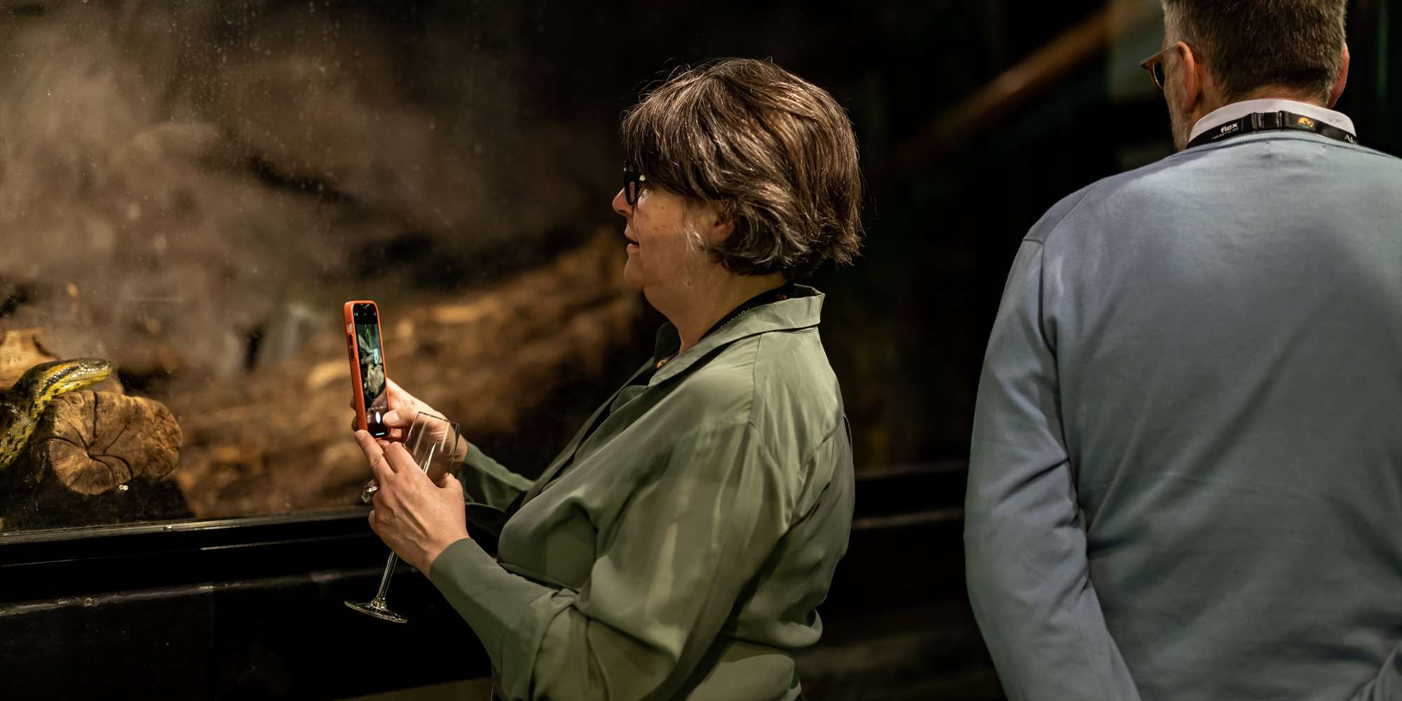 Akvarieaften for voksne