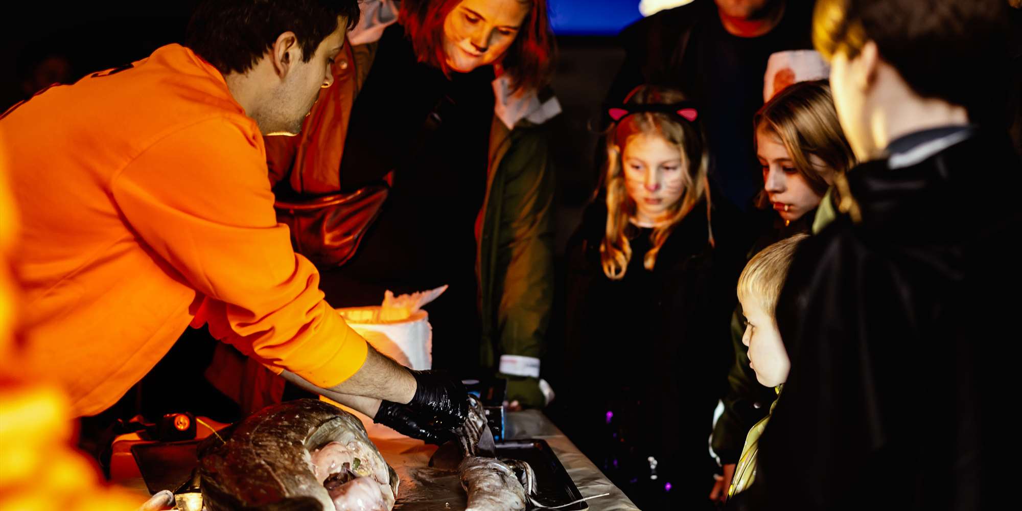 Halloween på Akvariet