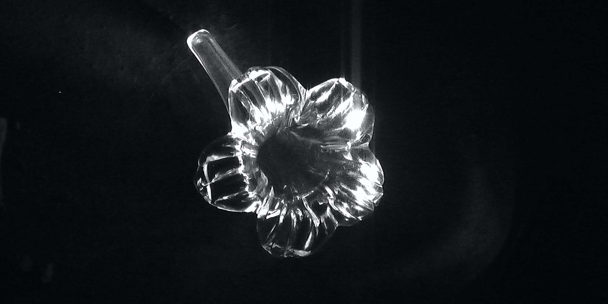 Glasblume + supp: Coral Head || Hulen