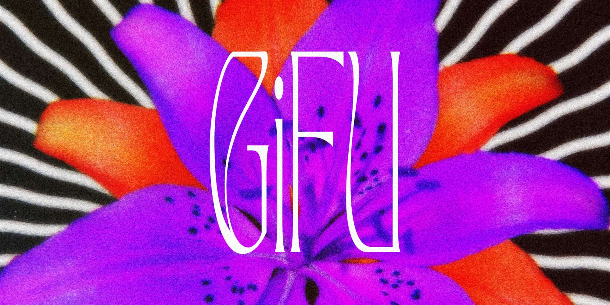 GiFU + support: Date Of Birth
