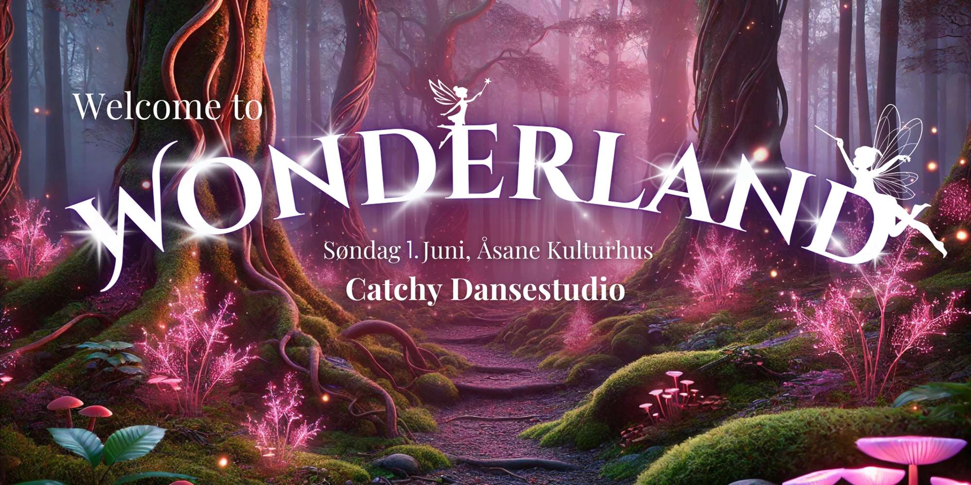 Wonderland 3