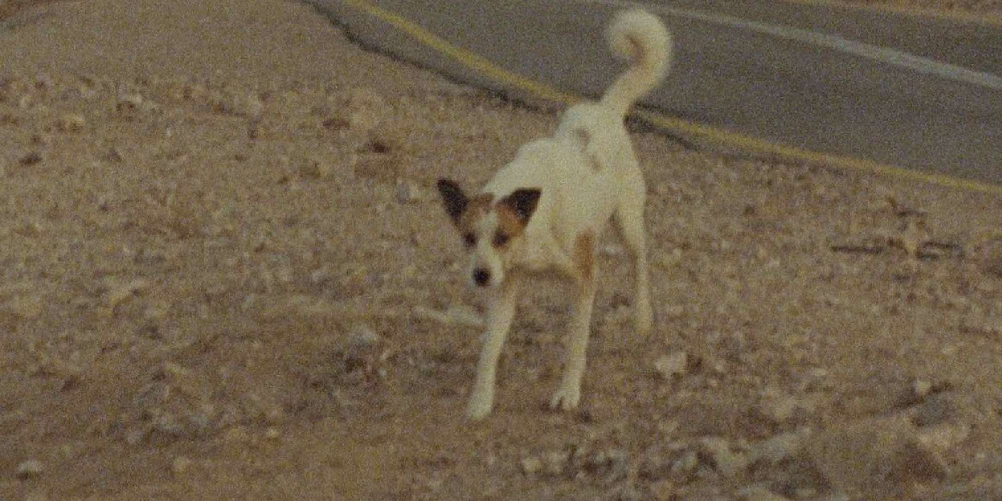 Film