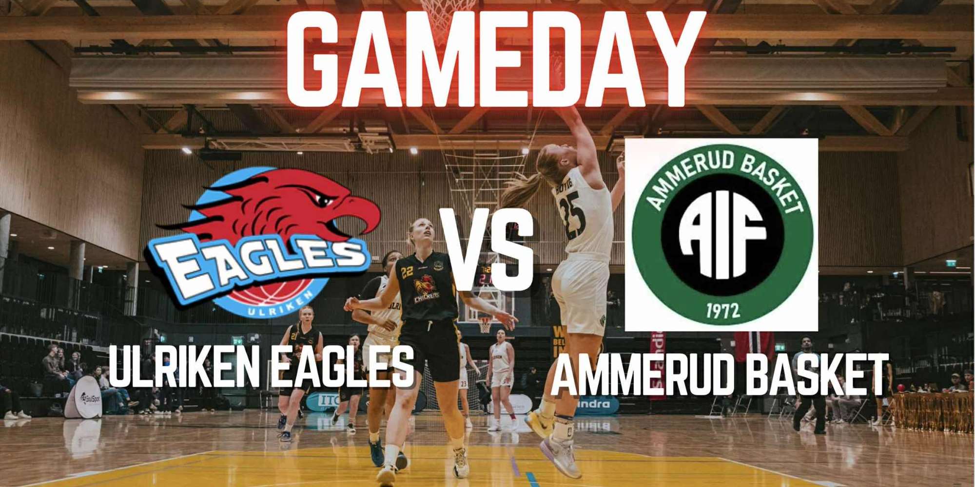 BLNO KVINNER: ULRIKEN EAGLES - AMMERUD