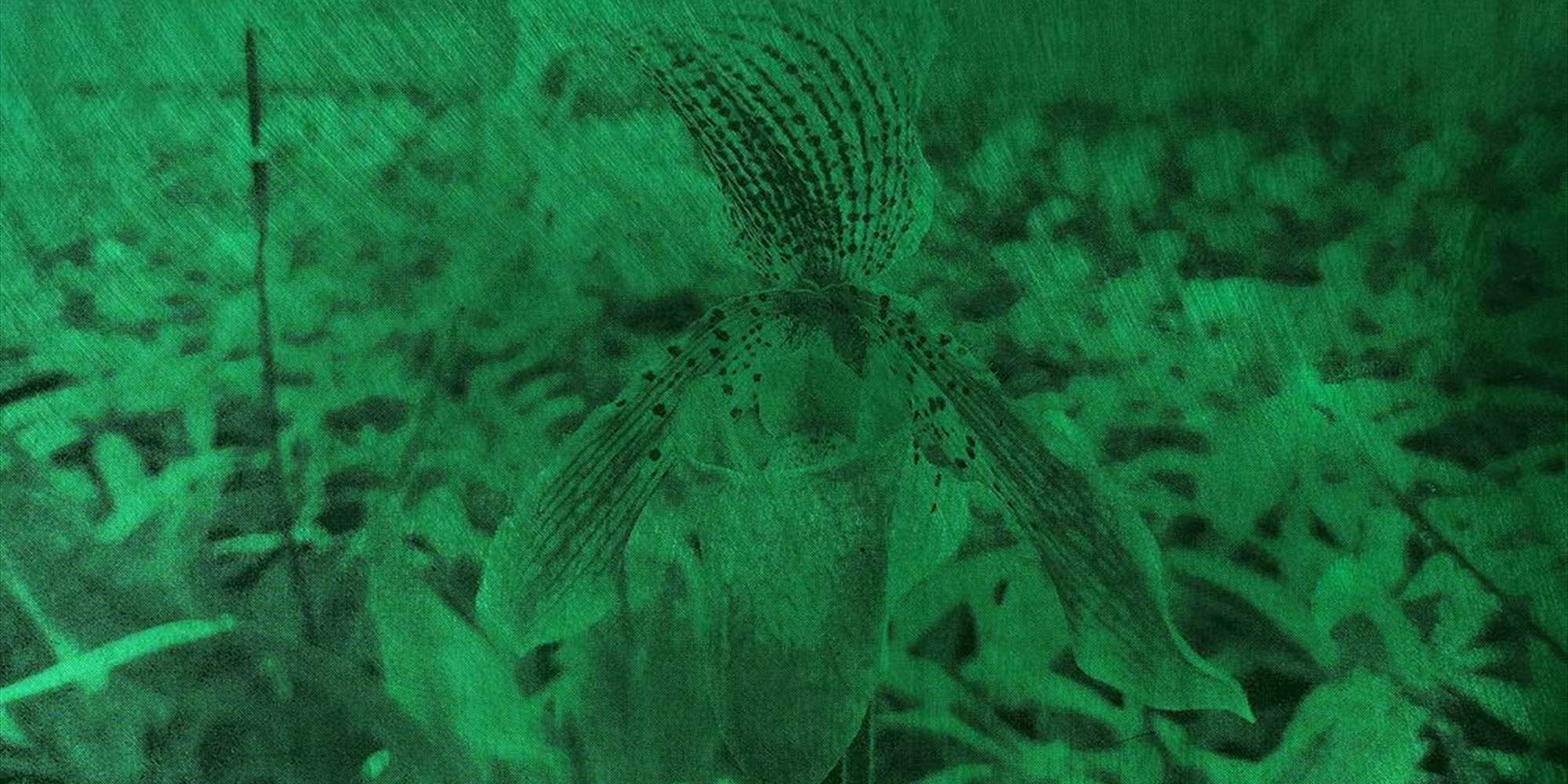 Nightblooming: Lesing og lunsj i Muséhagen