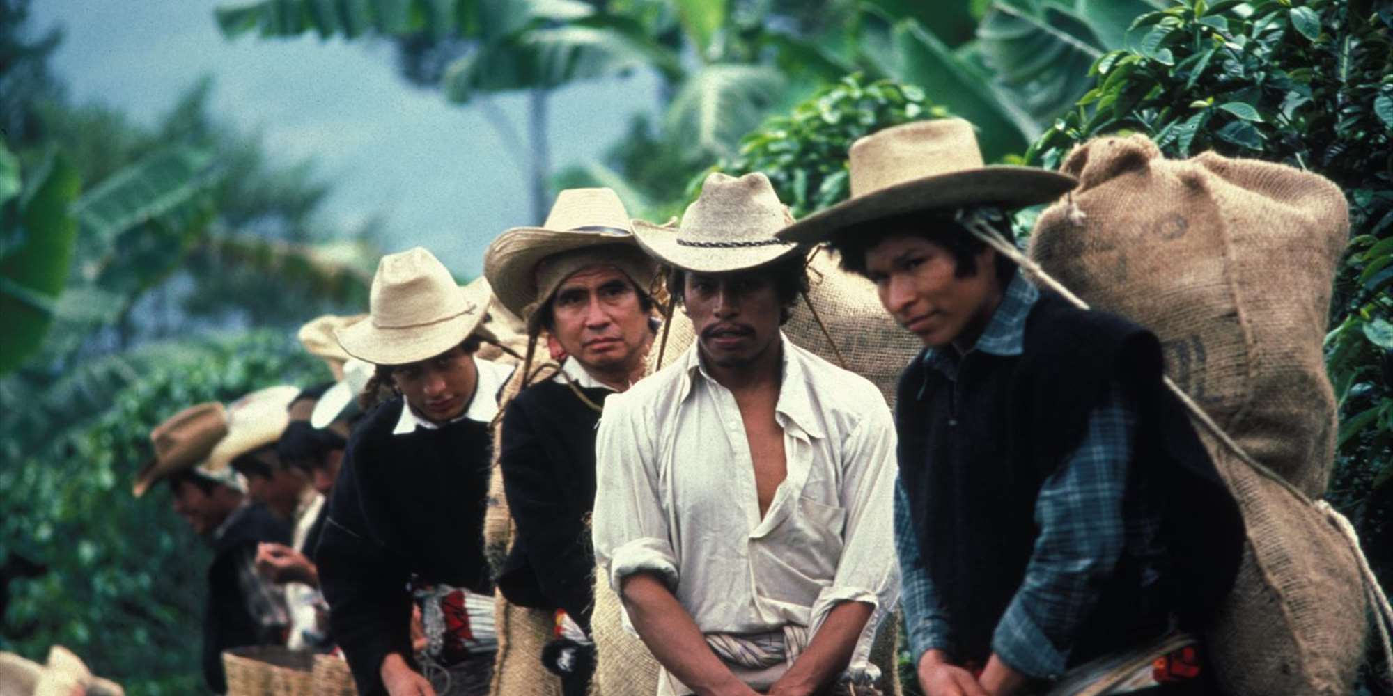 EL NORTE