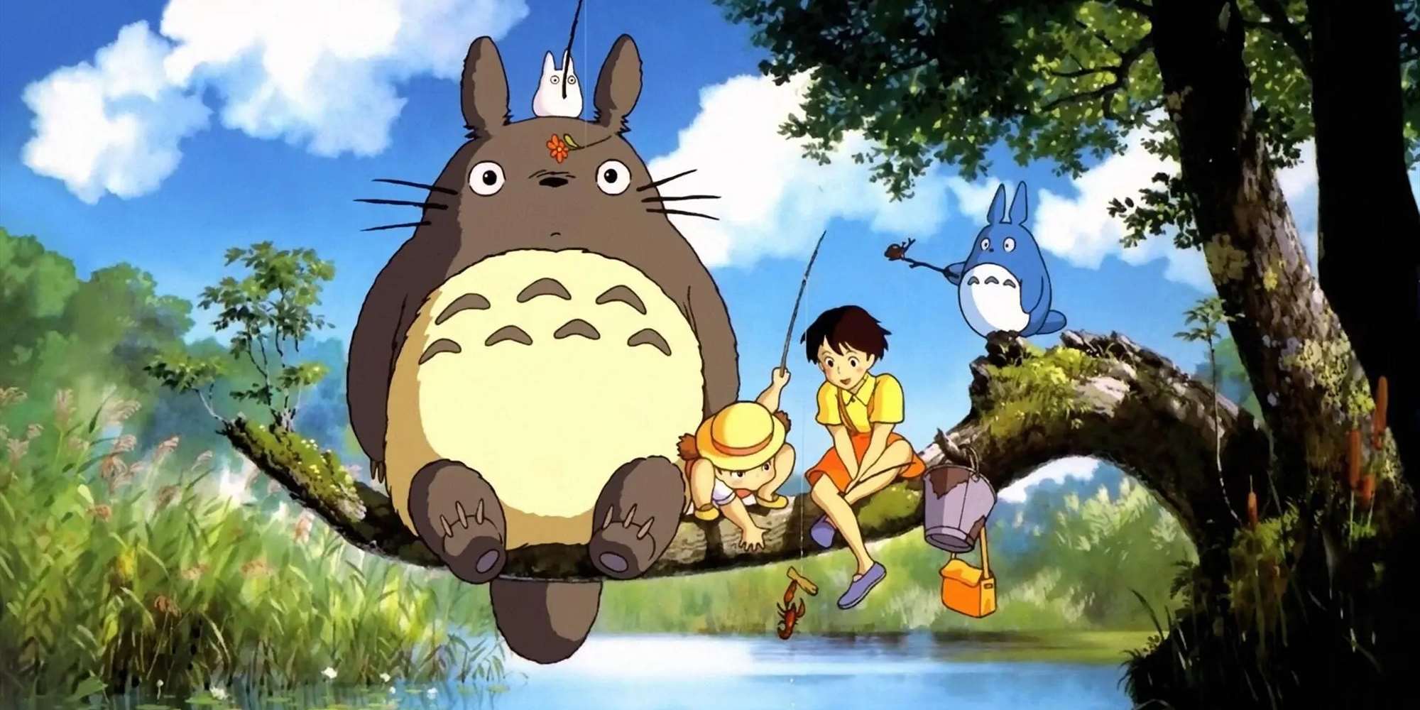 MIN NABO TOTORO