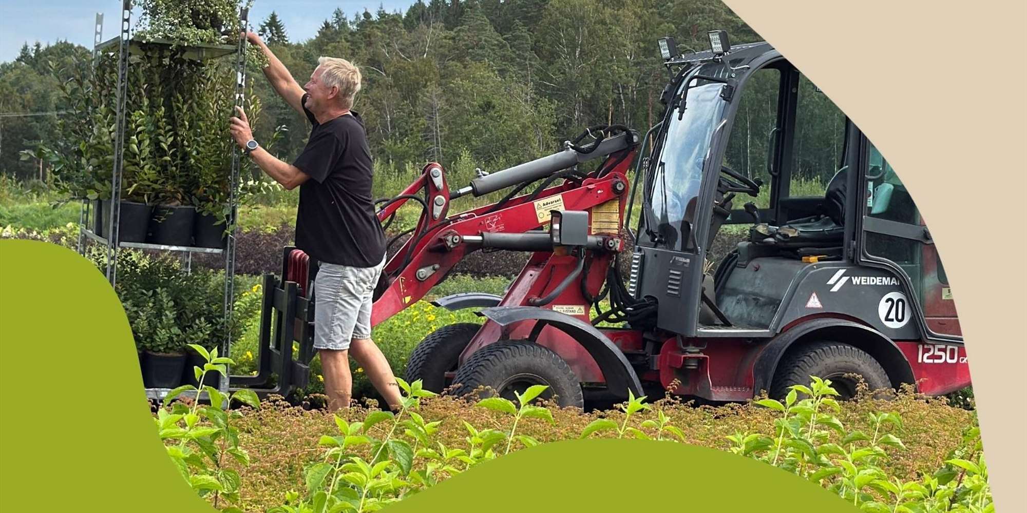 Fagdag Bergen: Skap varige grøntanlegg