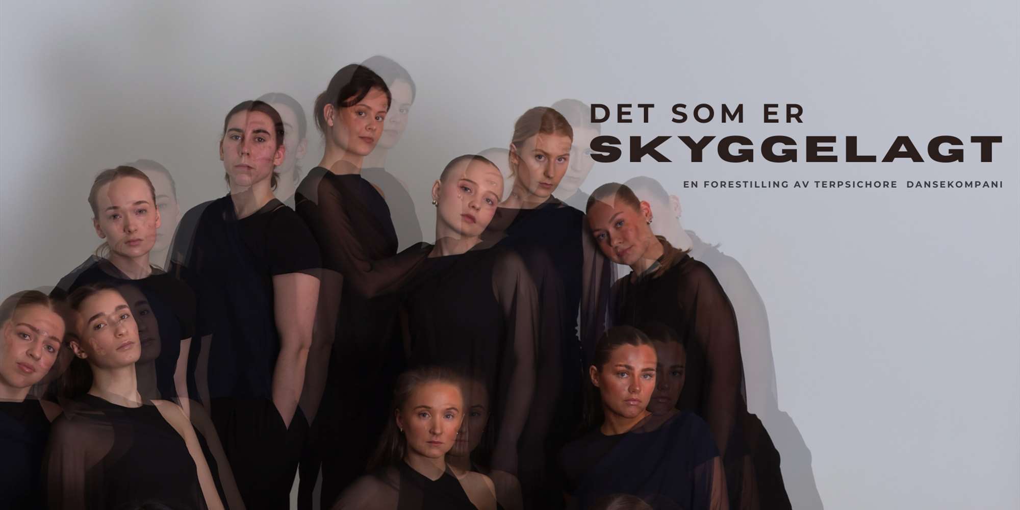 Det som er skyggelagt
