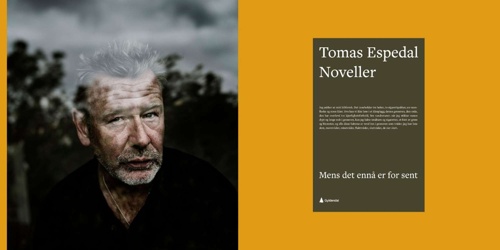 Lesesirkel for samtidslitteratur