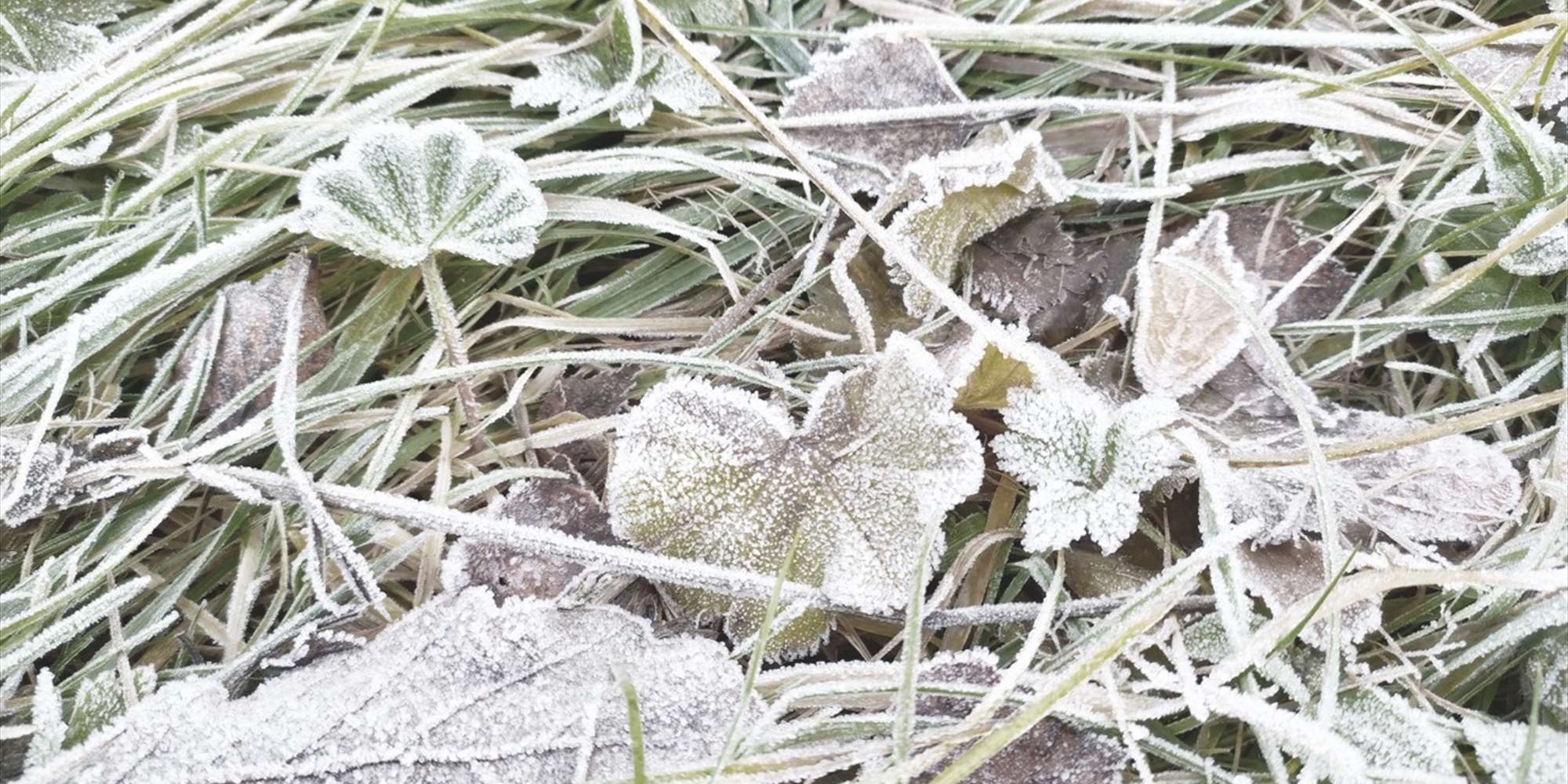 "Frost" er sjette og siste prosjekt i serien "Parkplaneten".