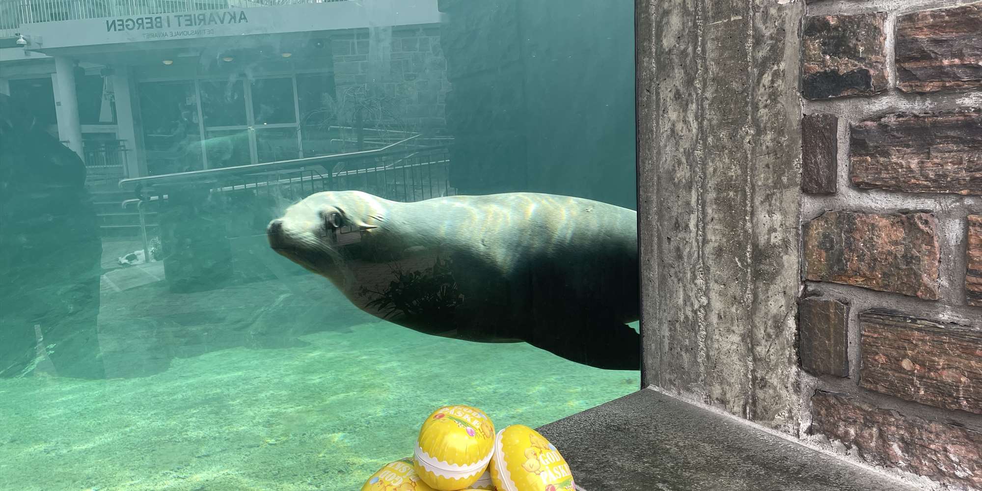 Påskeegg
