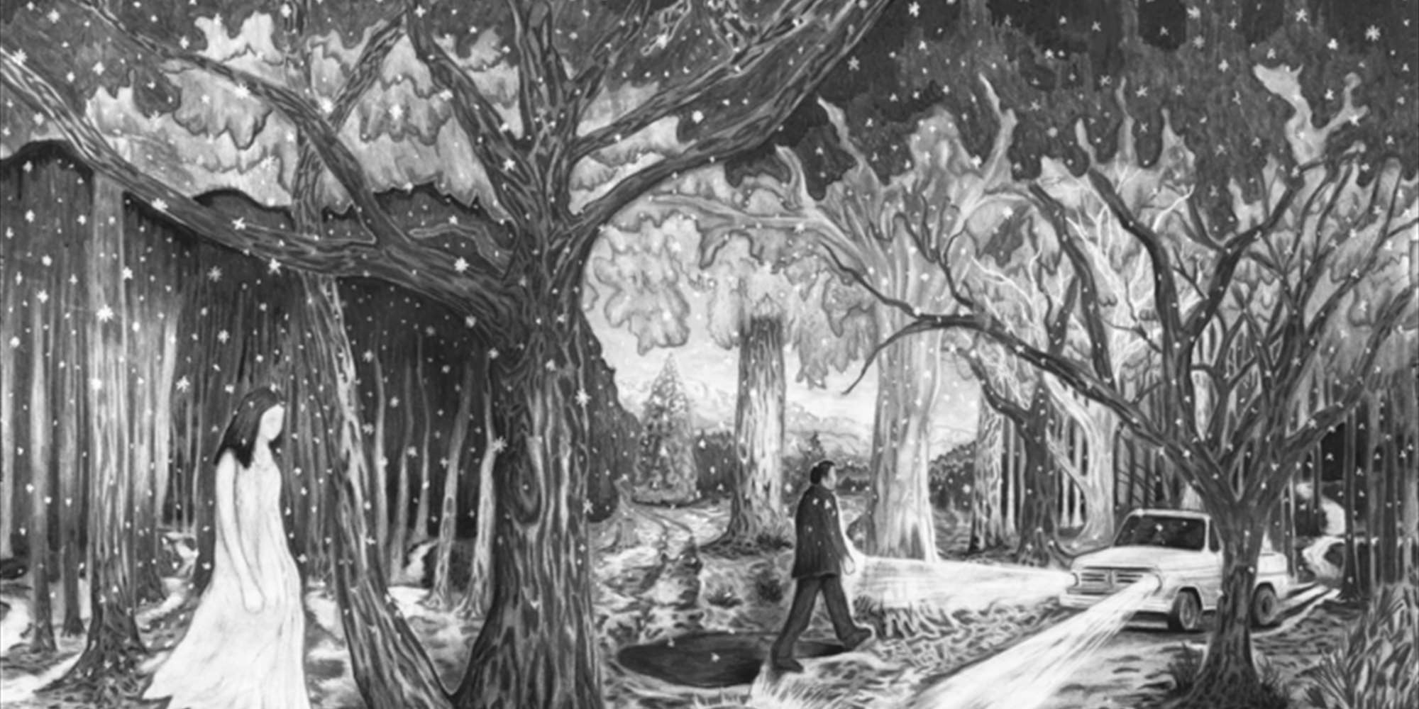 I svarte skogen inne