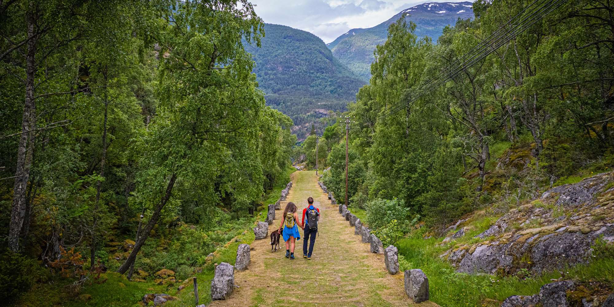 Guida tur på Kongevegen til Vindhella og inngang Borgund stavkyrkje ...