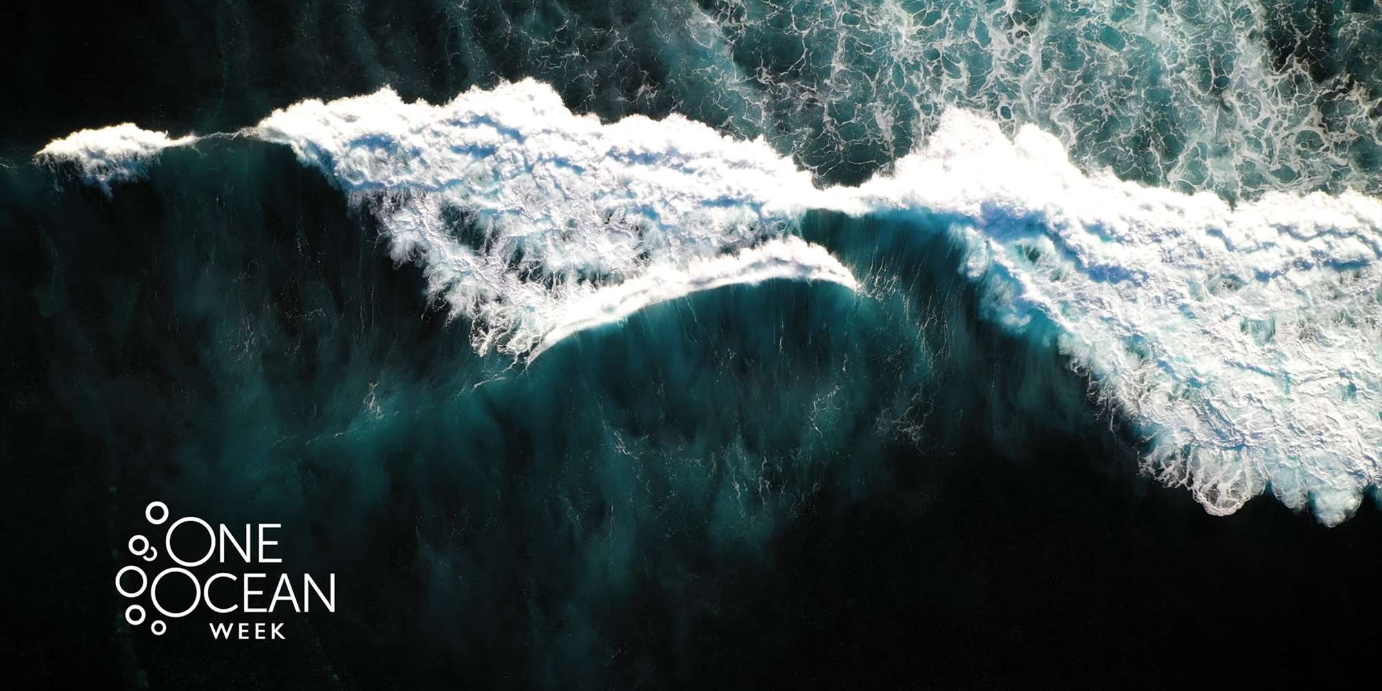 One Ocean Week