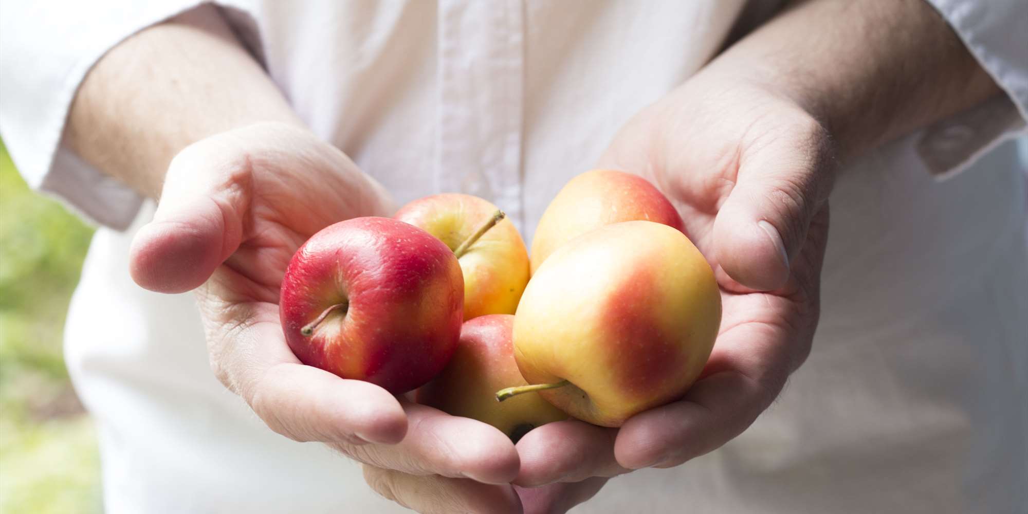 Sidersmaking med Ølakademiet