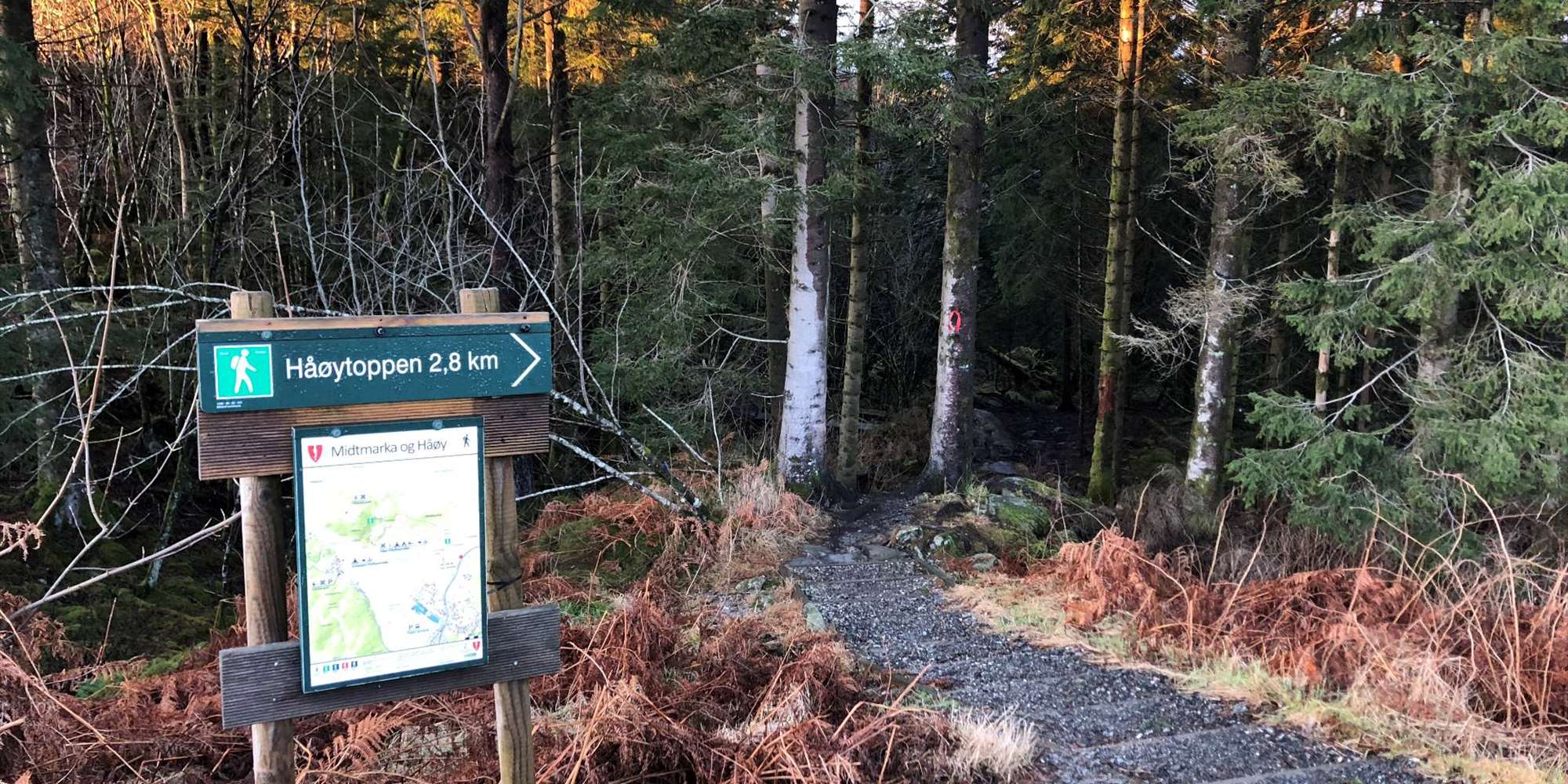 Start of the walk to Håøytoppen