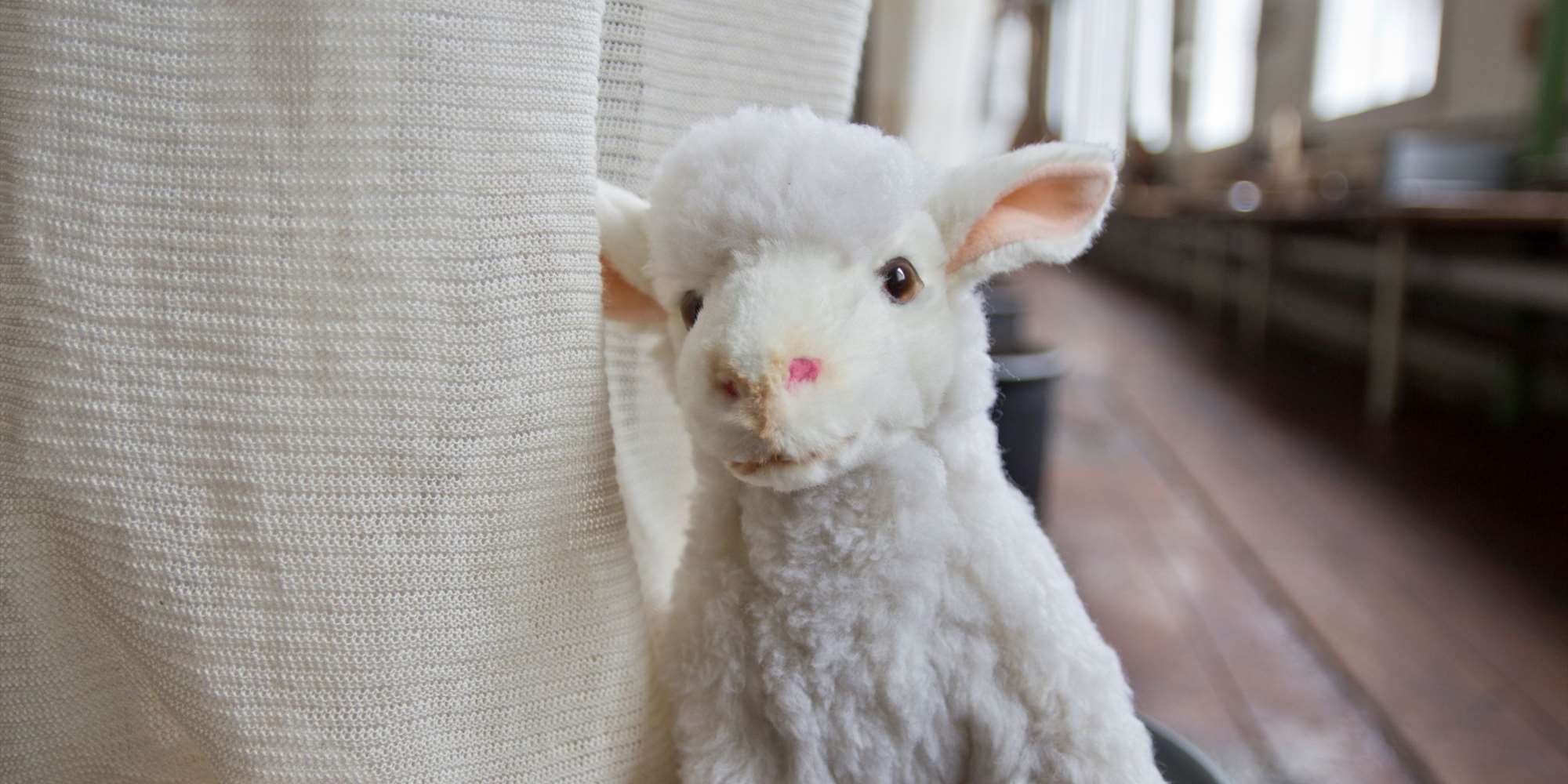 Bæændik