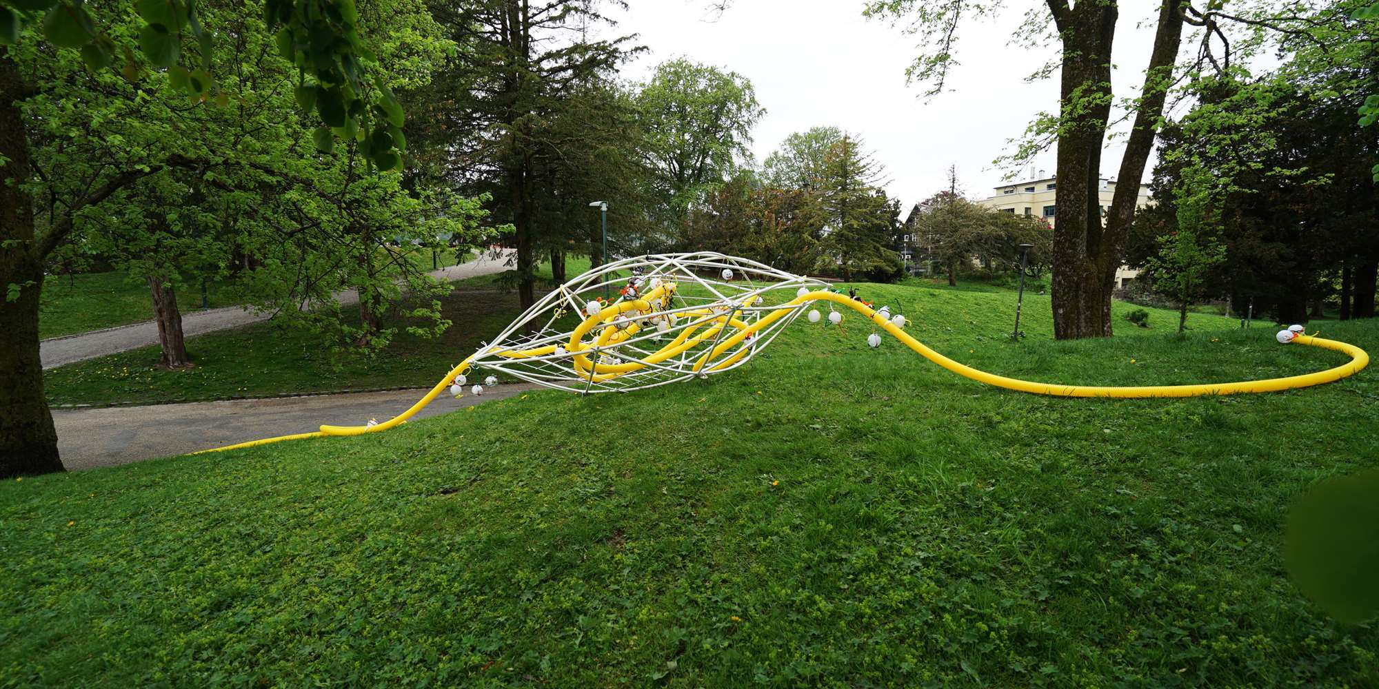 Fra "ARTi", serie "Parkplaneten", Nygårdsparken, mai 2026