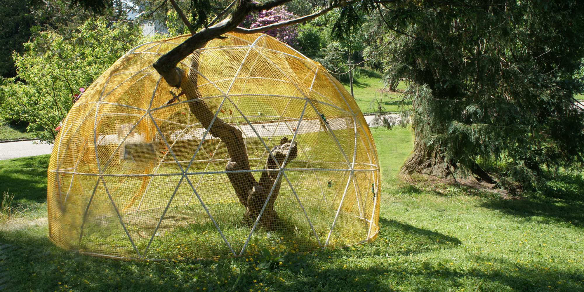 Fra ...ZOOmmm... (2020 - en parkodyssé), kunstpilotene, Nygårdparken, 2020.