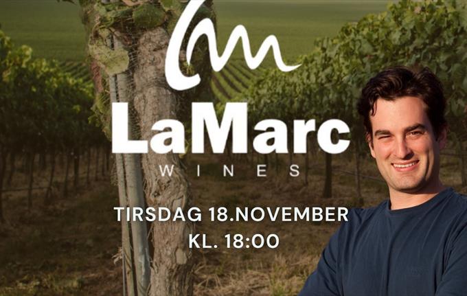 Fjellskål × Gavin Chanin