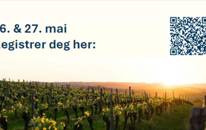 Vinsmaking og vinforskning hos Ypper