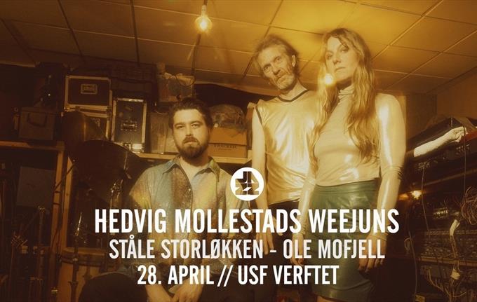 HEDVIG MOLLESTADS WEEJUNS