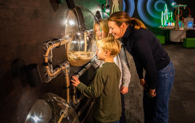 Lær om kretsløp i naturen på VilVite