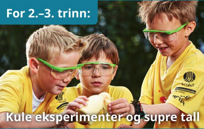 Forskerfabrikkens sommerskole