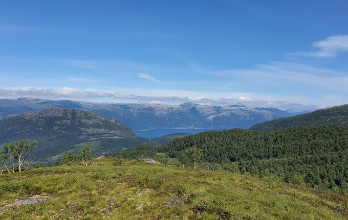 Fjelltur på Bufærvegen i Hardanger