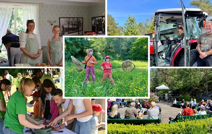 Masse aktiviteter for barn og familier på Arboretets dag