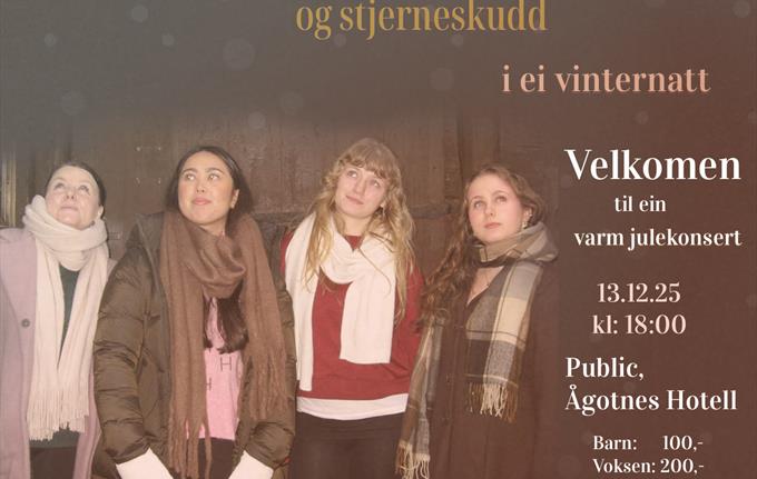 Stjernesludd og stjerneskudd i ei vinternatt