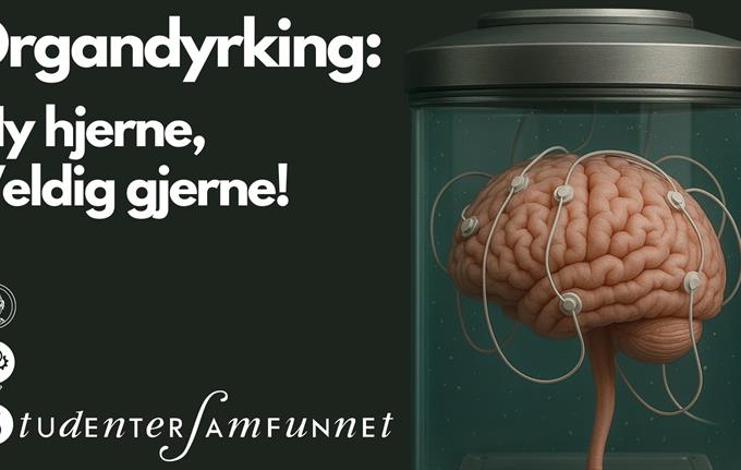 Organdyrking