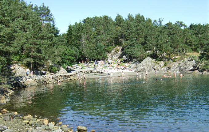 Grønevika v/ Arboretet