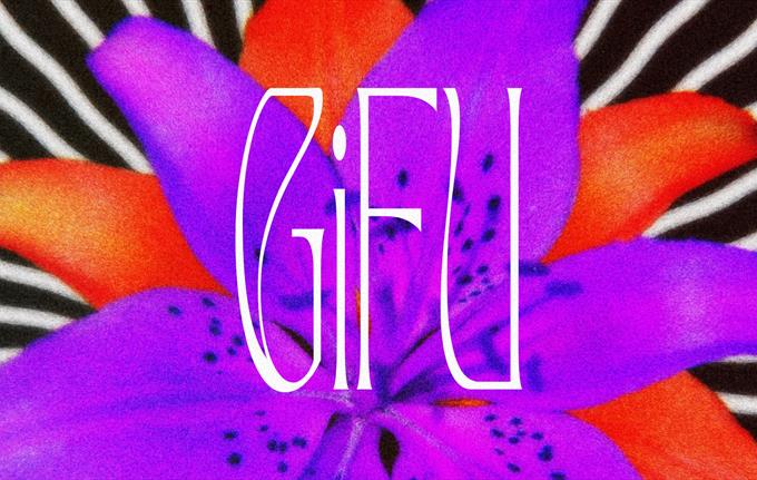 GiFU + support: Date Of Birth