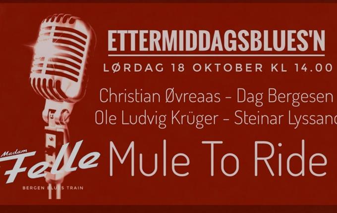 MULE TO RIDE