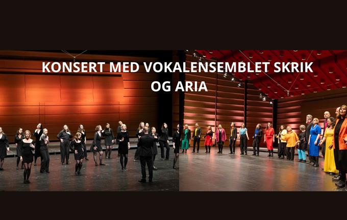 Konsert med Vokalensemblet Skrik og Aria