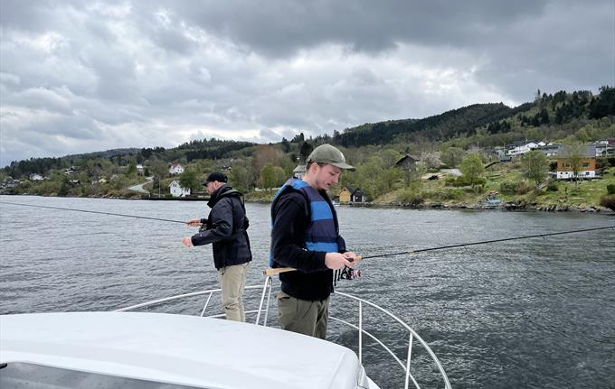 Fiske fra båten