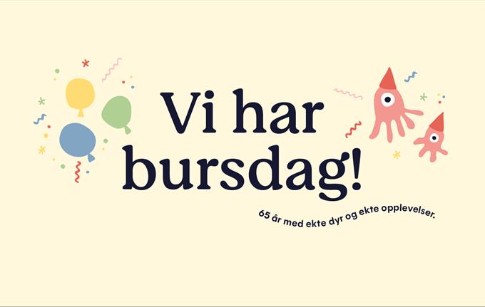 Bursdag på Akvariet