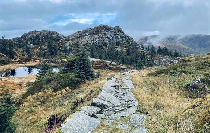 Fjelltur i byfjellene i Bergen