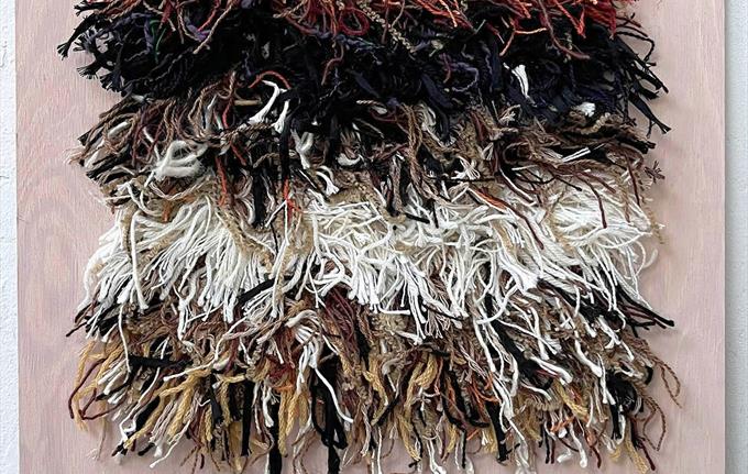 Brushane av Hanne Øverland