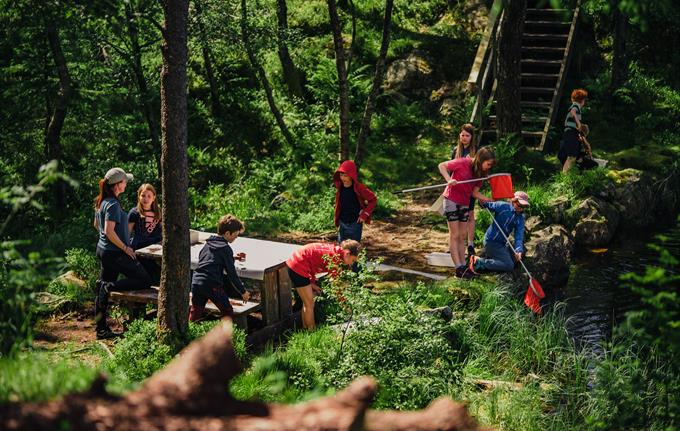 Sommercamp