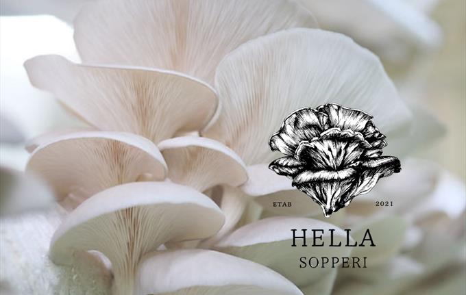 Soppdyrking med Hella Sopperi og Stene Matglede
