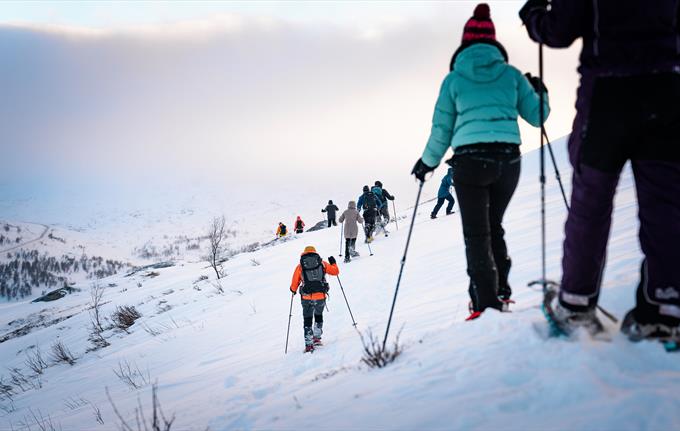 Trugetur i fjellene rundt Hardangerfjorden