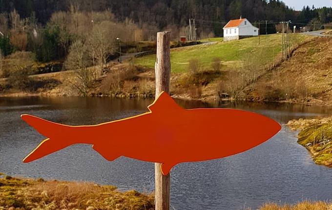 Kunsrunden